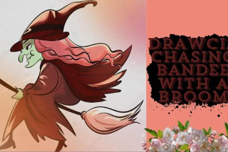 Drawcia’s Hilarious Pursuit: The Magic and Mischief of Chasing Bandee with a Broom