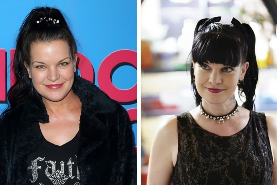 pauley perrette net worth